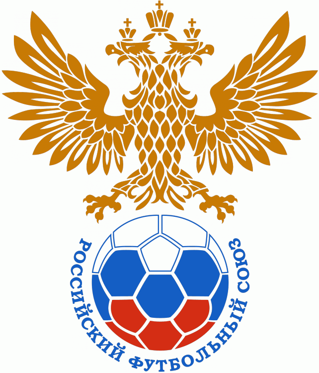 UEFA Russia 2011-Pres Primary Logo t shirt iron on transfers